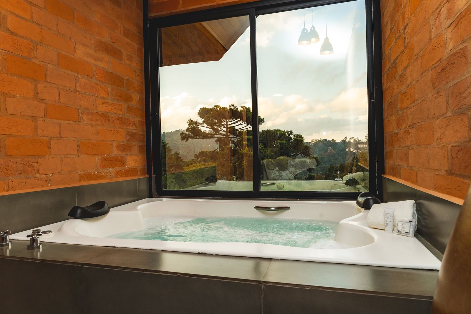 Banheira de hidromassagem da Suíte Deluxe com vista para as araucárias da serra